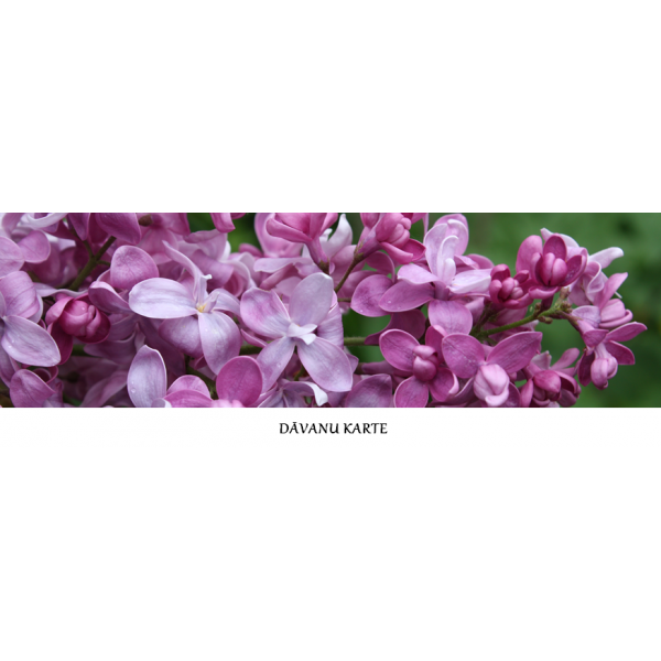 Dāvanu karti mēs izsūtam bez maksas uz uzrādīto pasta adresi. Dāvanu karti mēs izsūtam bez maksas uz uzrādīto pasta adresi.